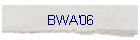 BWA'06