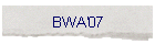 BWA'07