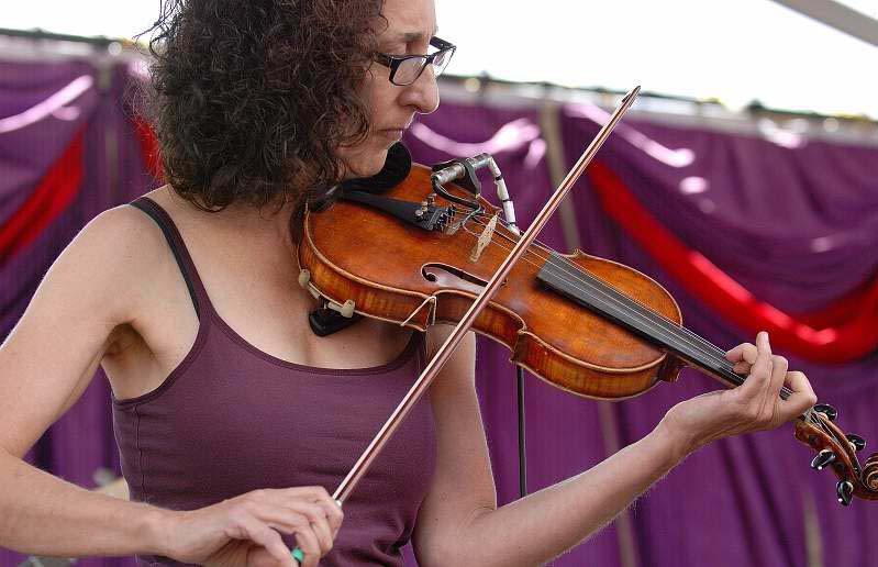 1 judy hyman - the horseflies 6092