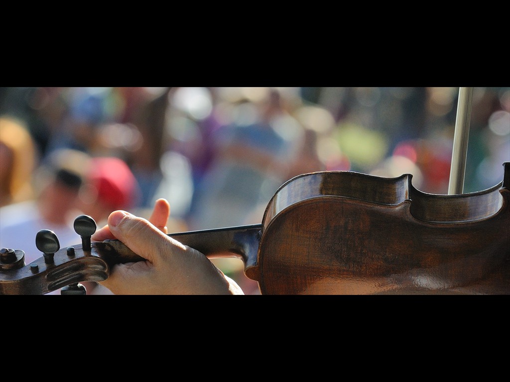 03-fiddle-D30_8020