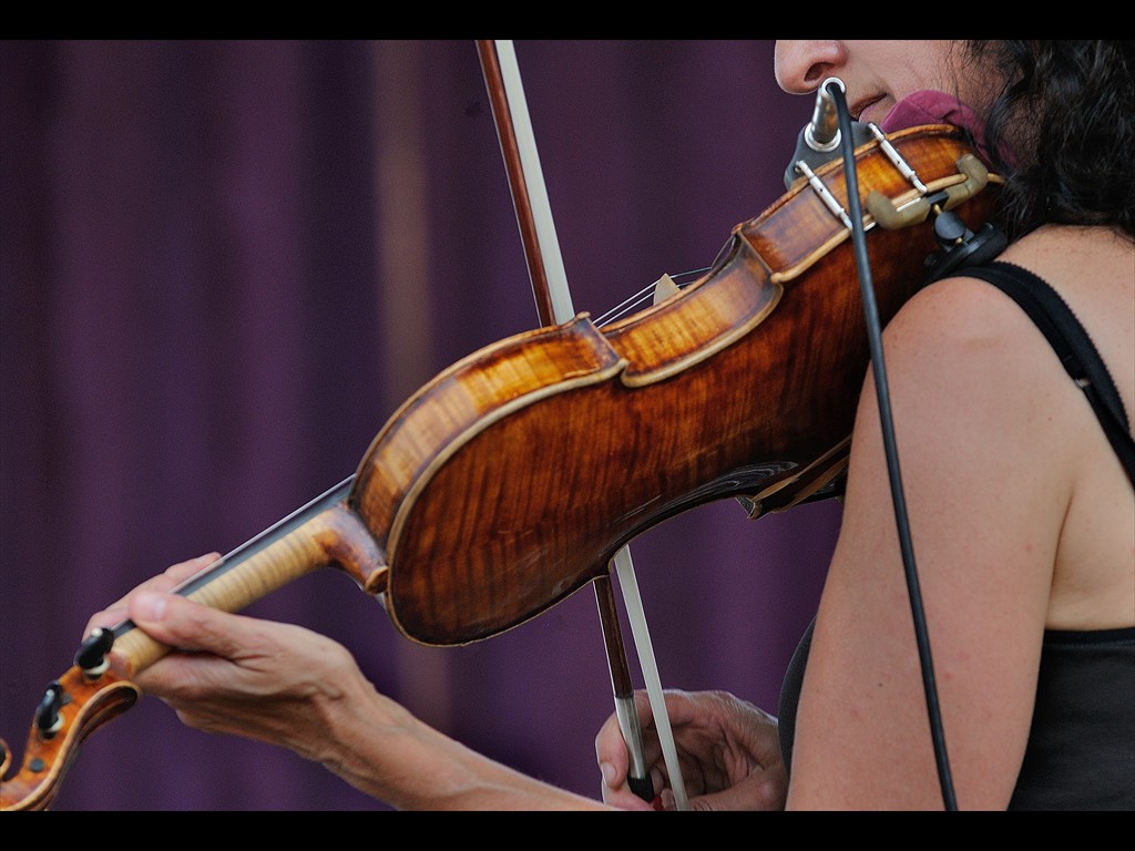 11-Judy_Hyman_The_Horseflies