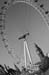 london_eye_D30_6720